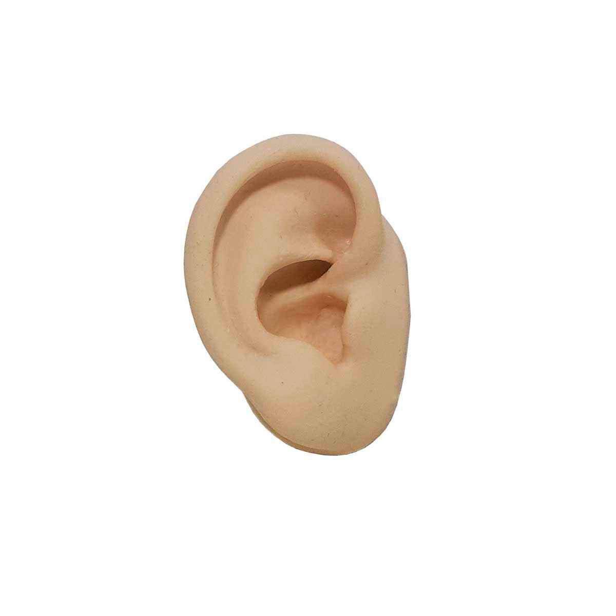 Expositor Orelha Direita de Silicone