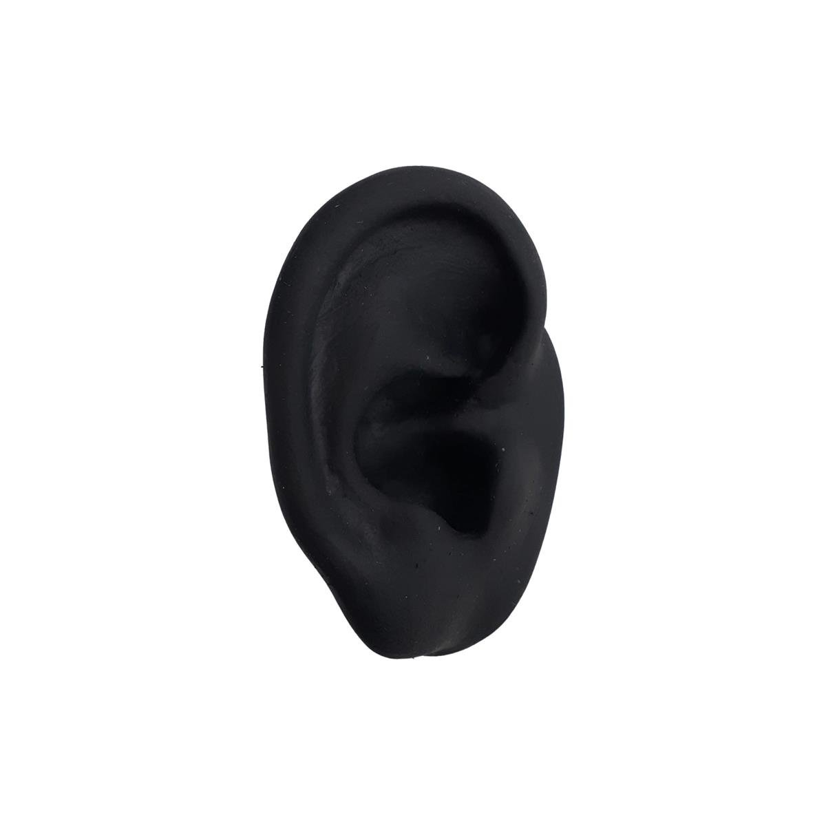 Expositor Orelha Direita de Silicone