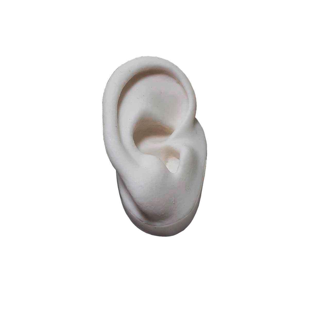 Expositor Orelha Direita de Silicone