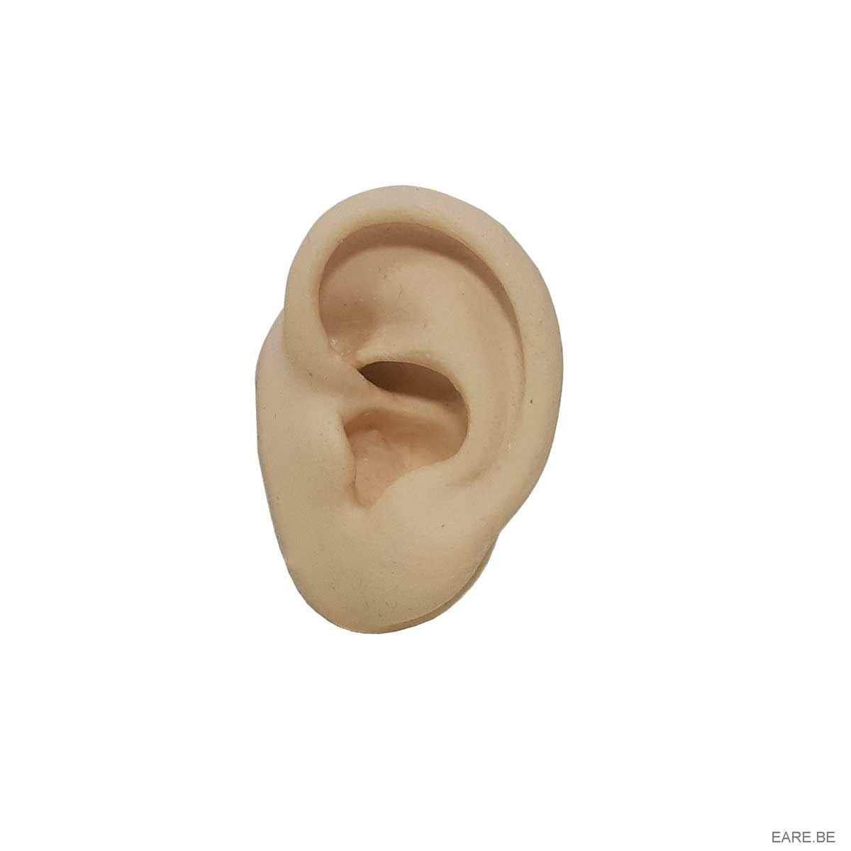 Expositor Orelha Esquerda de Silicone