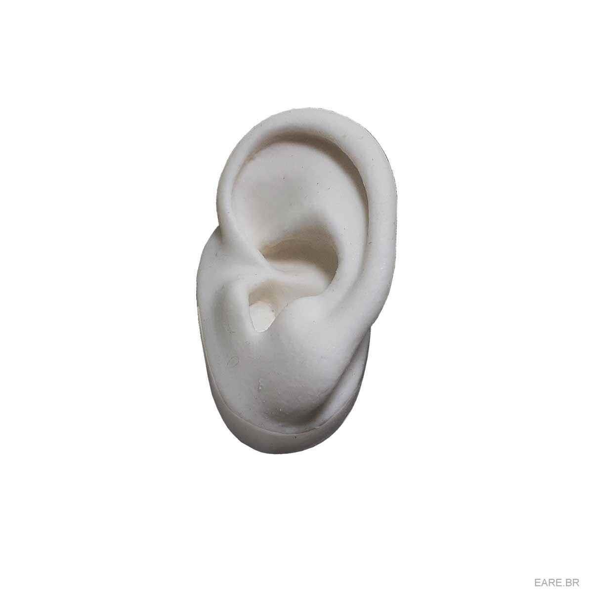 Expositor Orelha Esquerda de Silicone