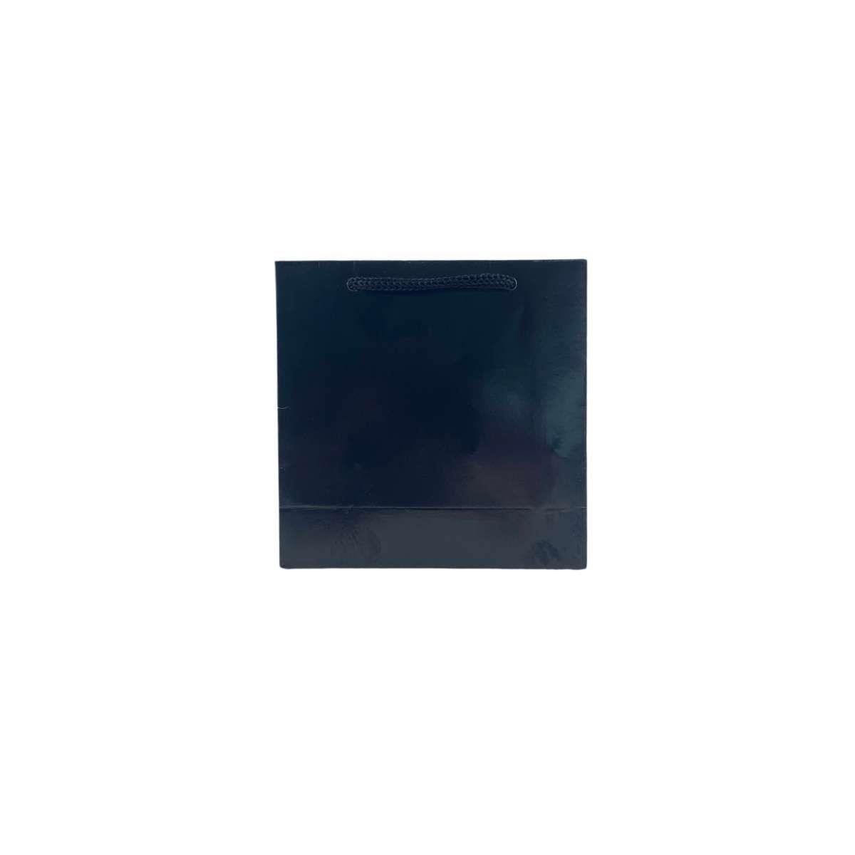 Sacolinha de Papel S1 10x10 Pacote com 10 Unidades