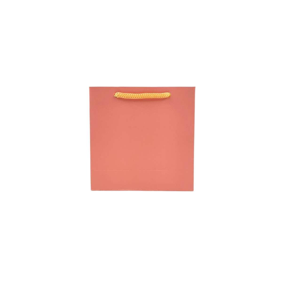 Sacolinha de Papel S1 10x10 Pacote com 10 Unidades